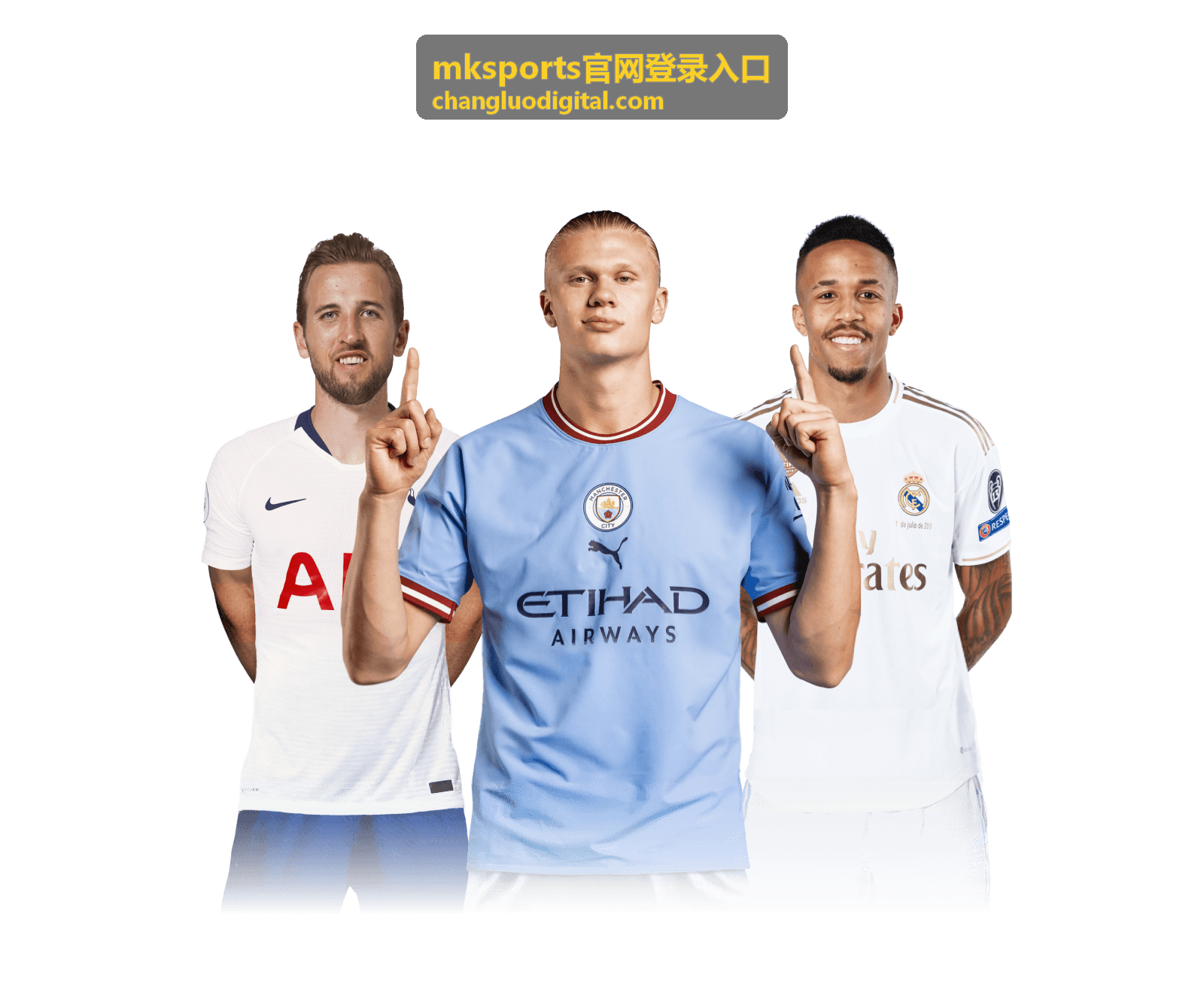 mksports官网登录入口-登录指引